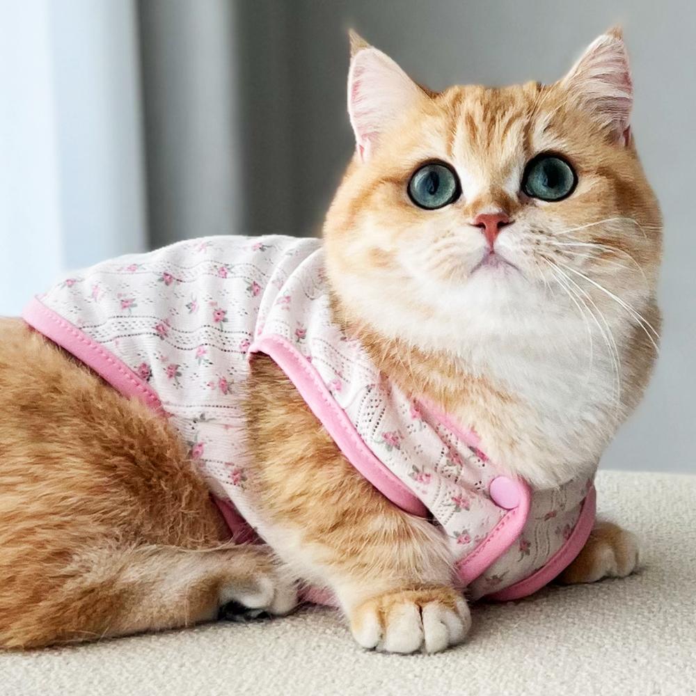 猫服（キムジャンハルメ花柄）夏用 室内着