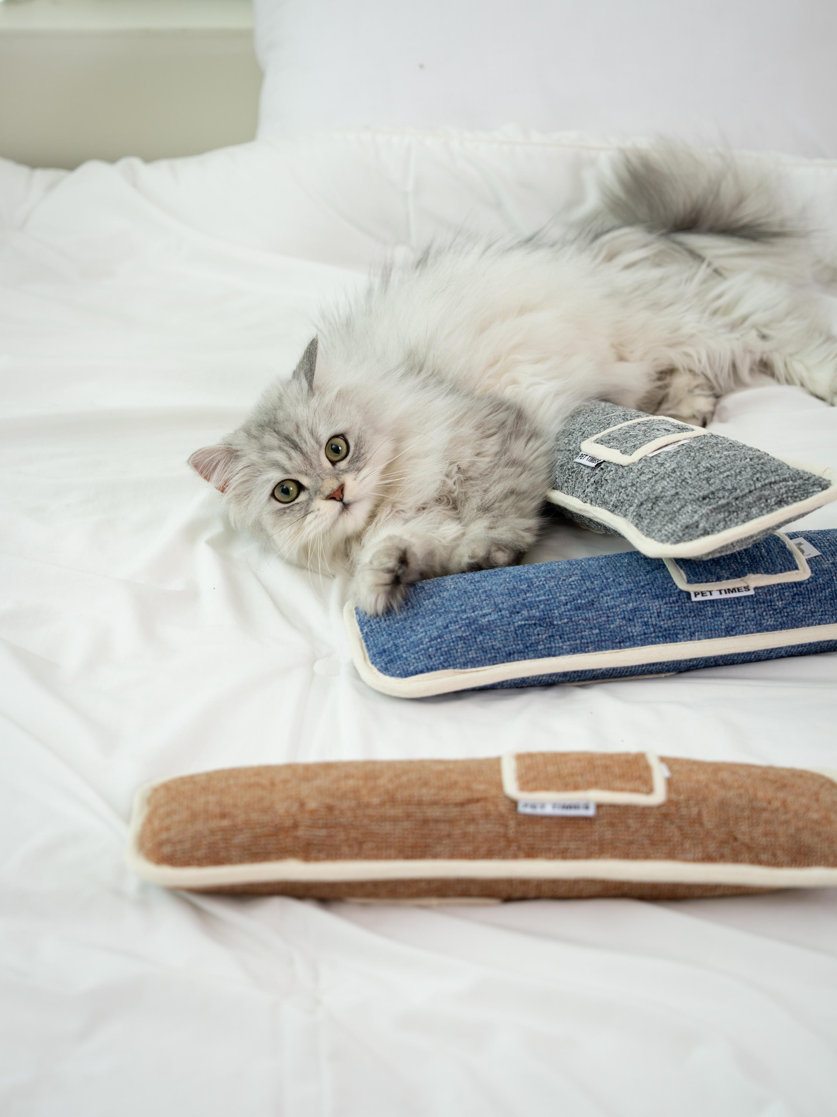 PETTIMES ポケットキャットニップクッション (猫用 キャットニップ)