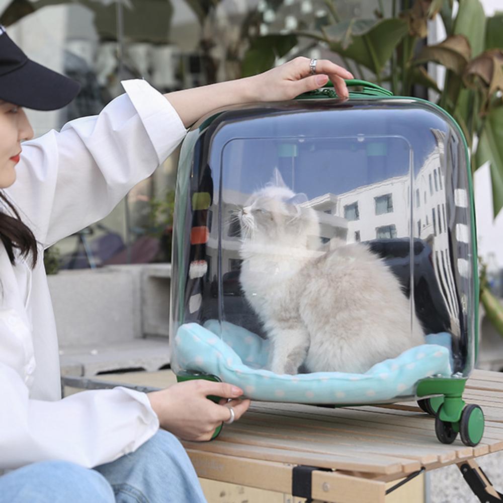 犬用品 MYPET 透明キャリー 携帯バッグ03