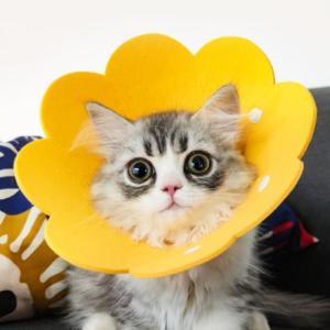 猫・犬用 フェルト不織布製ネックカラー 超軽量首保護 4feltpetneckcollar-PINKM