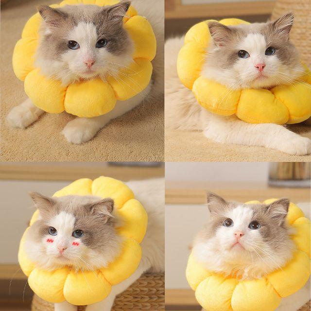 CELLINK 猫・犬用ペット用ネッククッション ネックカラー 皮膚保護クッション ネックカラーXS