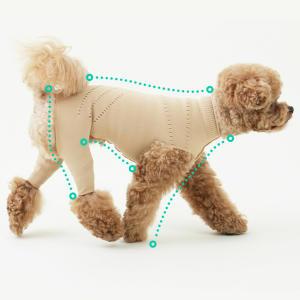 VLAB パテラ 犬用 膝蓋骨脱臼保護服 ライトベージュ