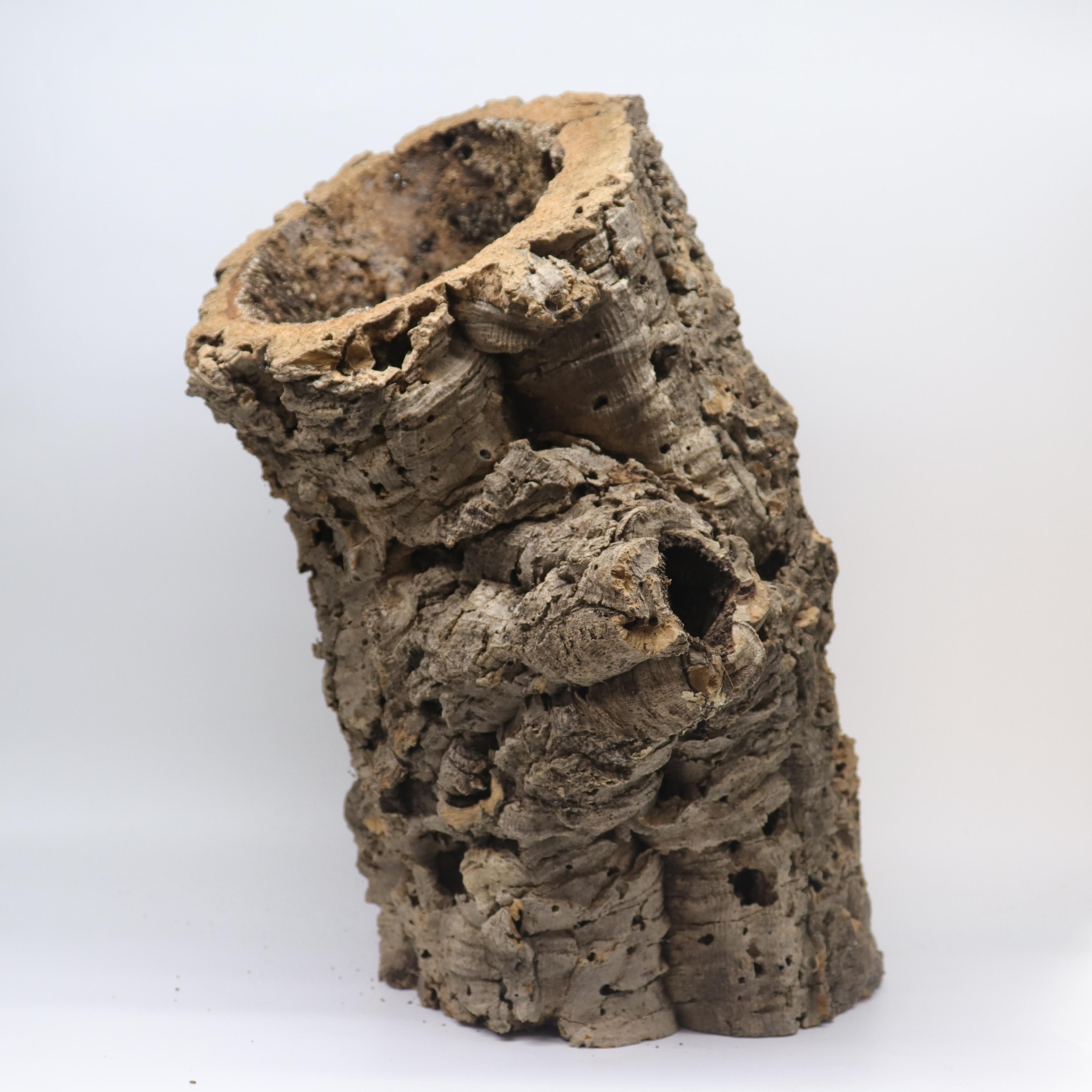 コルクチューブ 大型 流木 バックアップ 爬虫類 隠れ家 チュ-ブ型 1個