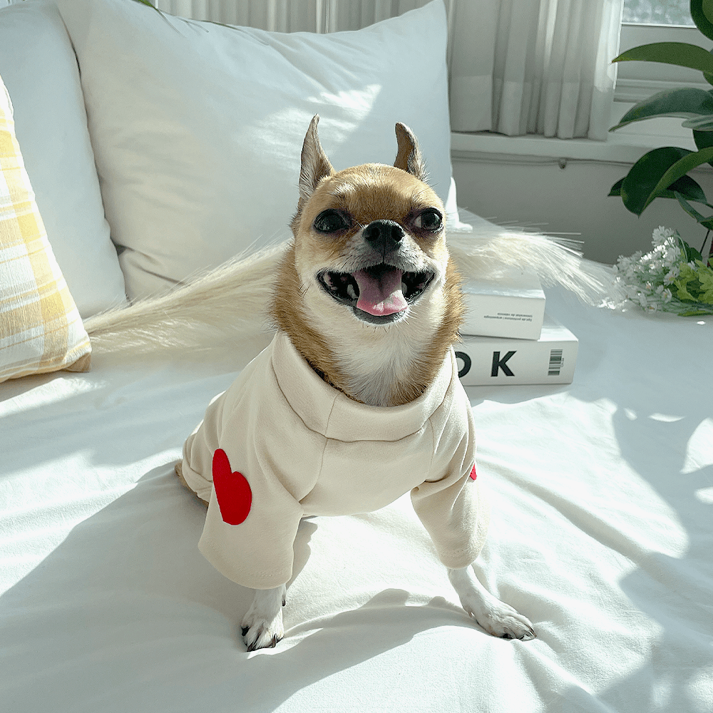 犬用 ハート柄長袖 冬用室内着 起毛裏地 ストレッチ ブランド ギャルソン Tシャツ タートルネック