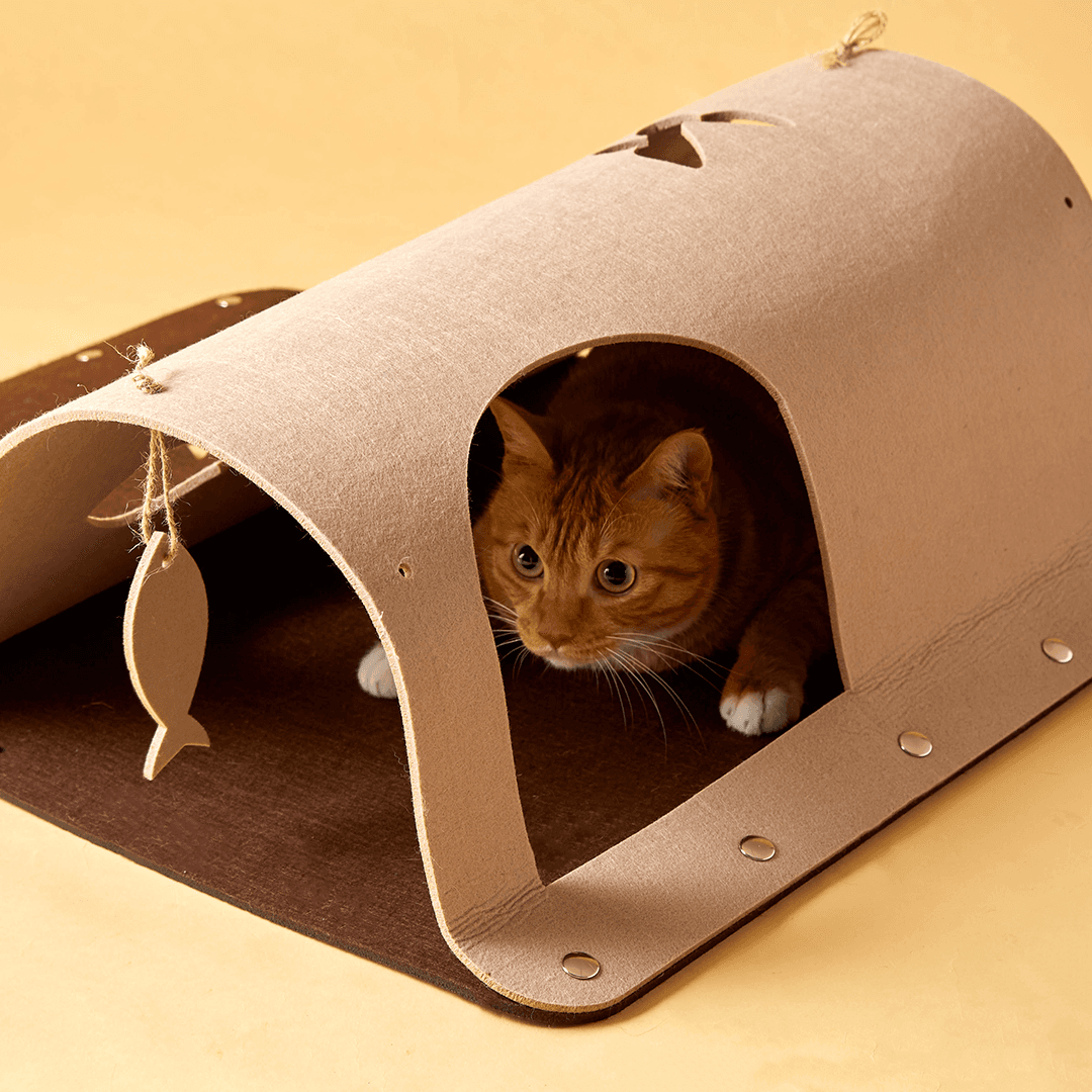 猫の島 捕まえろ！ 隠れ家トンネル