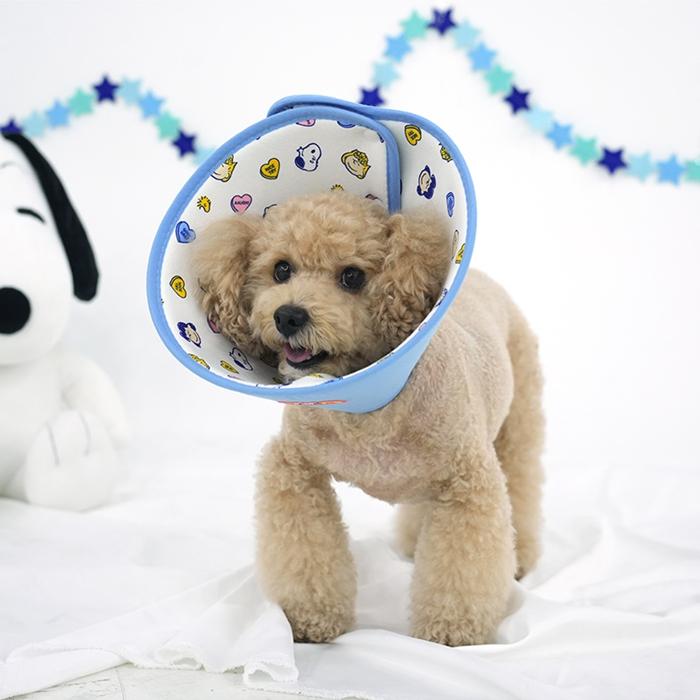 パリスドッグ ピーナッツ エリザベスカラー2 -