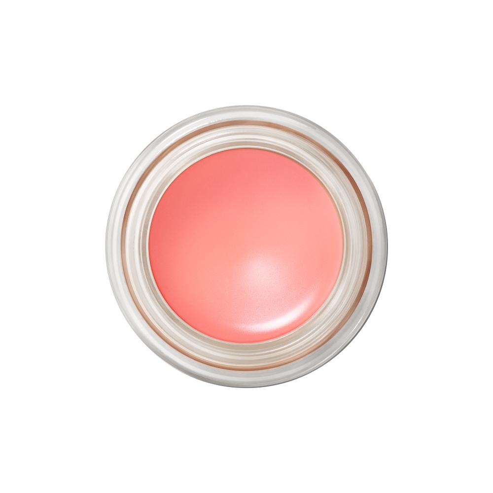 MAC プロロングウェア ペイントポット 5G