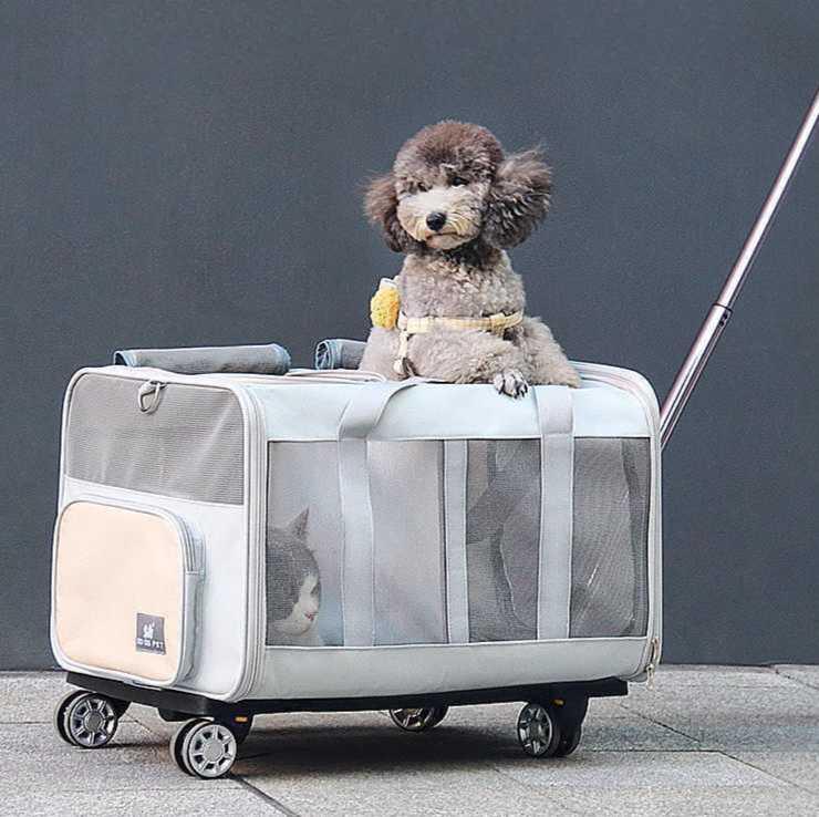 ドゥリ PETIKO 1個 キャリー 犬 コンパニオンアニマル ペットコ ライトグレー 通気性 21kg