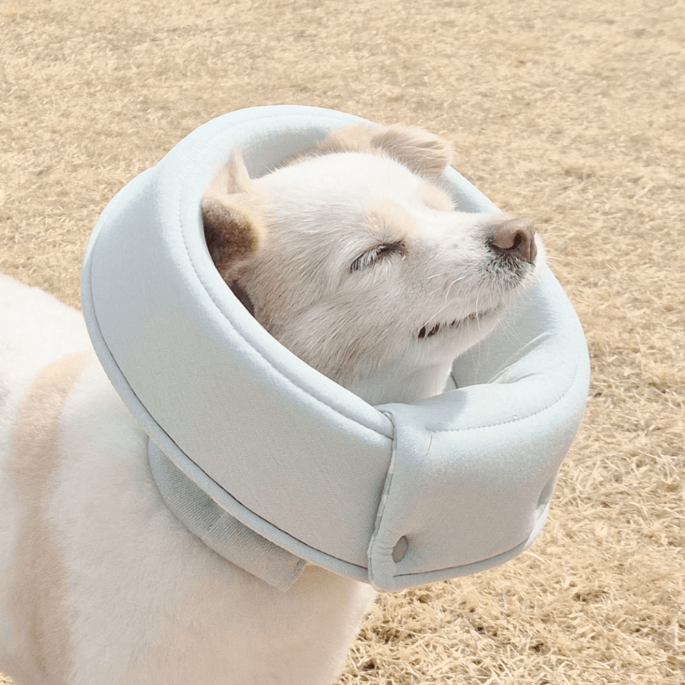 FORIBORI オーガニック クラウドネックカラー 子犬 猫 避妊/去勢用 漏斗 軽量 超軽量 クッション型 コットン製 ネックプロテクター