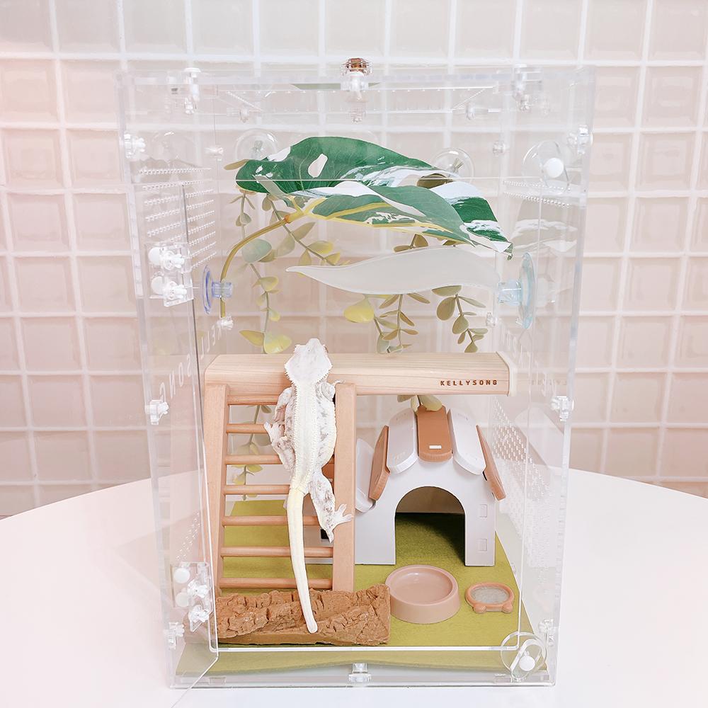 202030 トカゲ飼育ケースセット コテージ 隠れ家バージョン クレステッドゲッコー