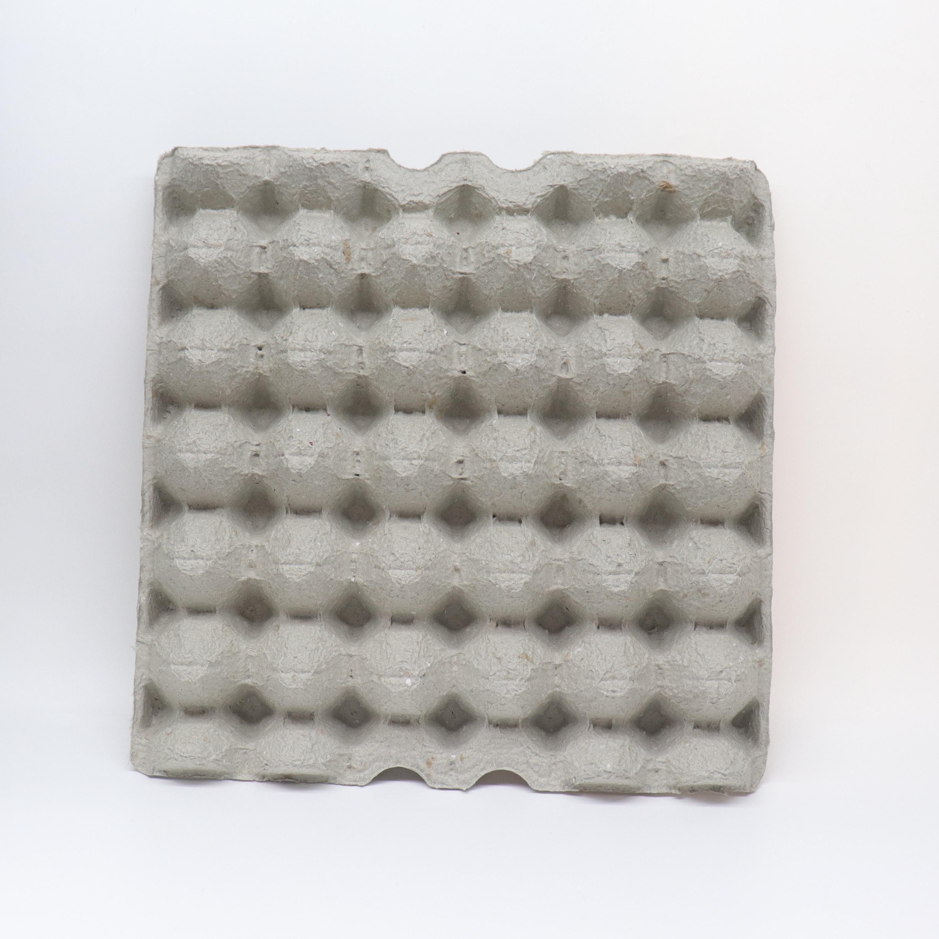 卵パック コオロギ飼育流木 爬虫類用品 隠れ家