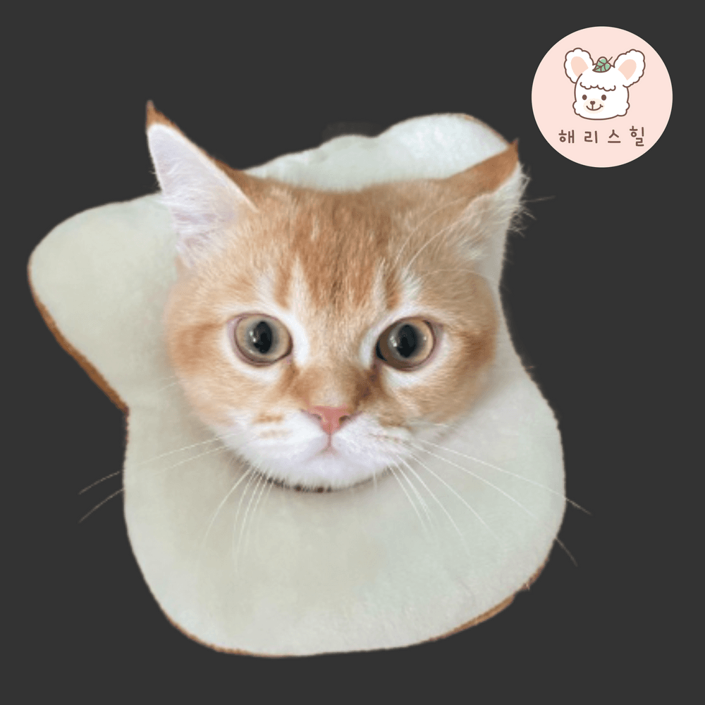 猫 犬 術後カラー ペット ネックカラー クッション エリザベスカラー 食パン S