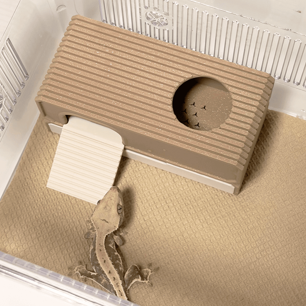 [ Reptek ] クレステッドゲッコー ミニマル 湿潤隠れ家 爬虫類 トカゲ 飼育ケージ インテリア クレ 中型 ウッド