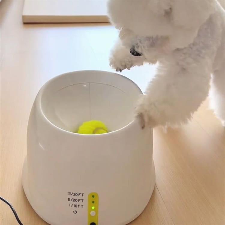 犬 セルフボール発射機 自動ボール発射おもちゃ ボール遊び 愛犬トレーニング 一人で遊ぶ機械 1個