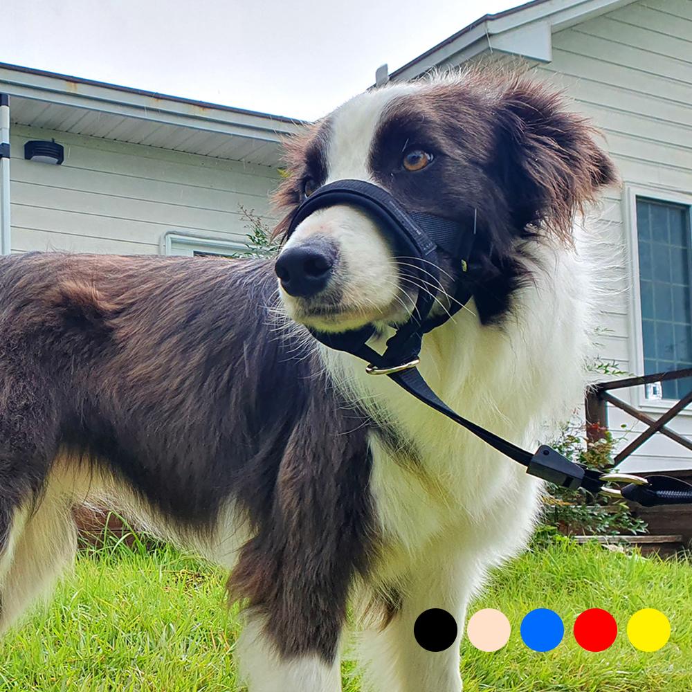 베리앤펫 젠틀리더 헤드컨트롤 입마개