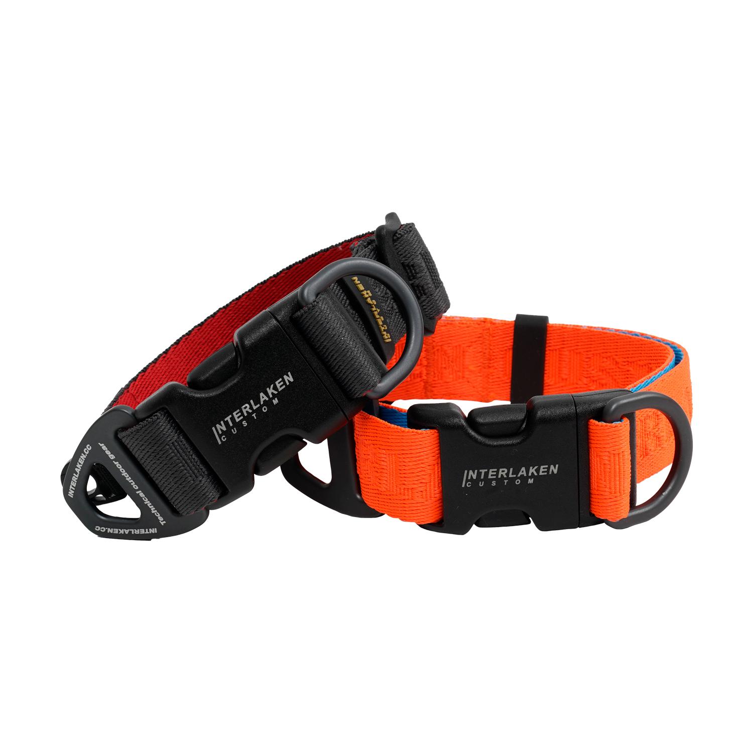 Interlaken Earthstek Standard 犬用首輪 XS