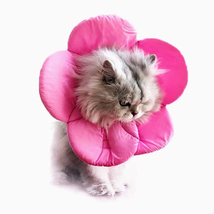 예보들 桜ネッカー