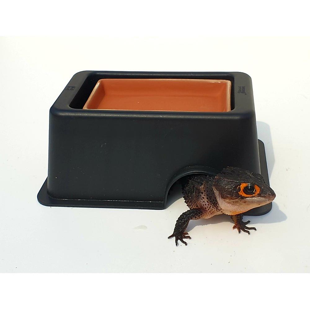 爬虫類用ウェットシェルター 湿度調整 陶器製 トカゲ ゲッコー ヘビ 隠れ家