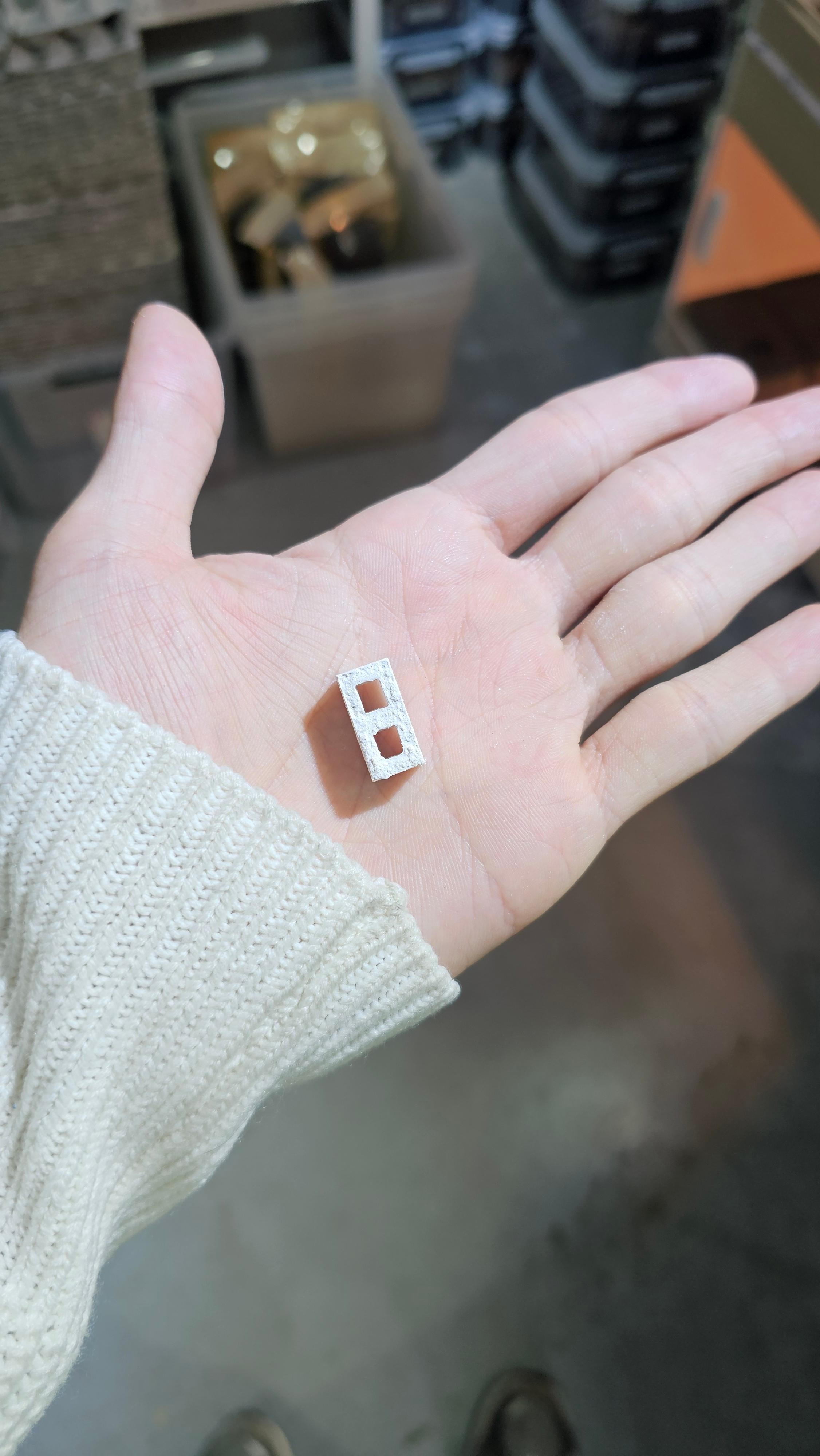 カルシウムブロック 1個 / ダンゴムシ ヤマトフナムシ クビスジマルツチブガ 餌 隠れ家 ブロック 用品 飼育 昆虫