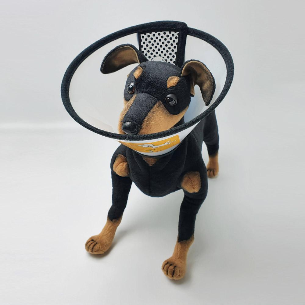 대형견 넥카라 강아지 깔대기 고양이 목보호대 애견 깔데기 중성화수술 상처보호 특대형