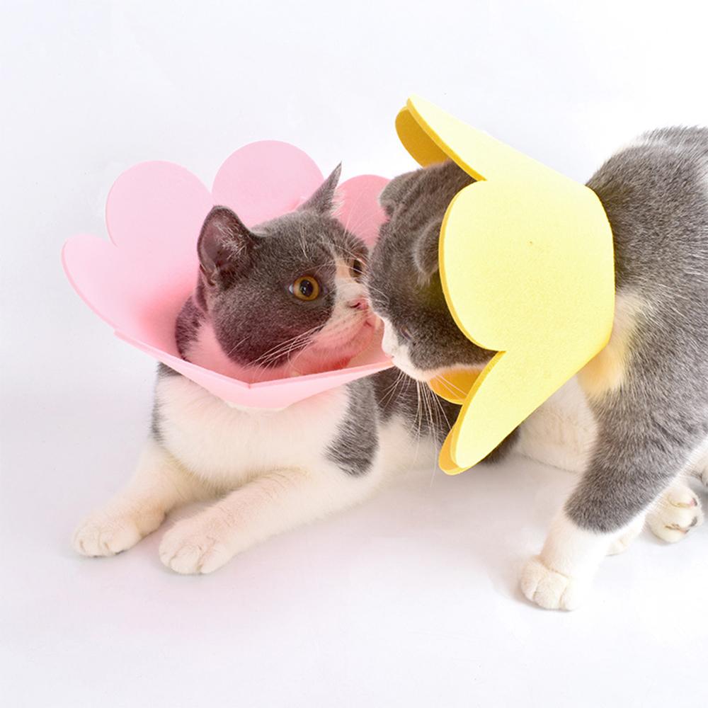 Namas Pet 犬 ネックカラー 猫 漏斗 超軽量 EVA 避妊去勢 犬用首輪