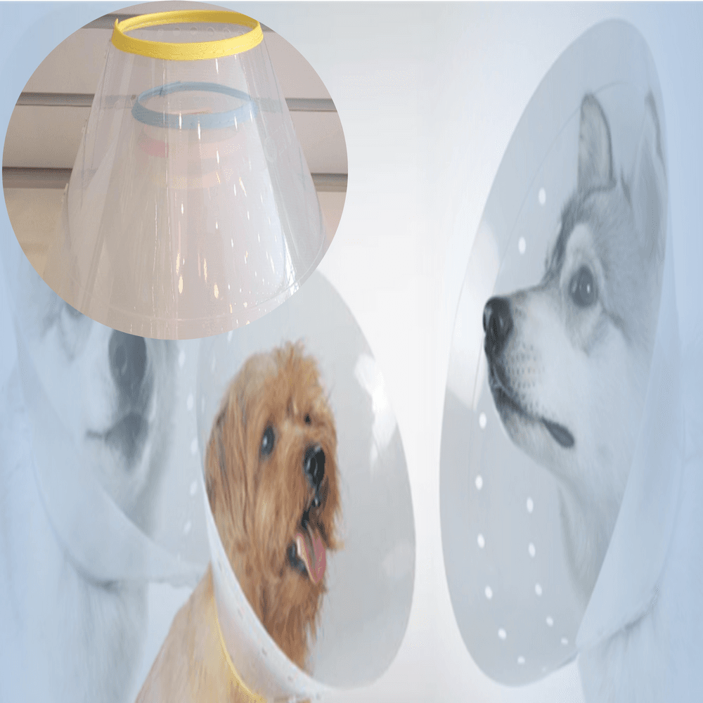 国内産 犬 ネックカラー プラスチック 首保護具 漏斗 大型犬