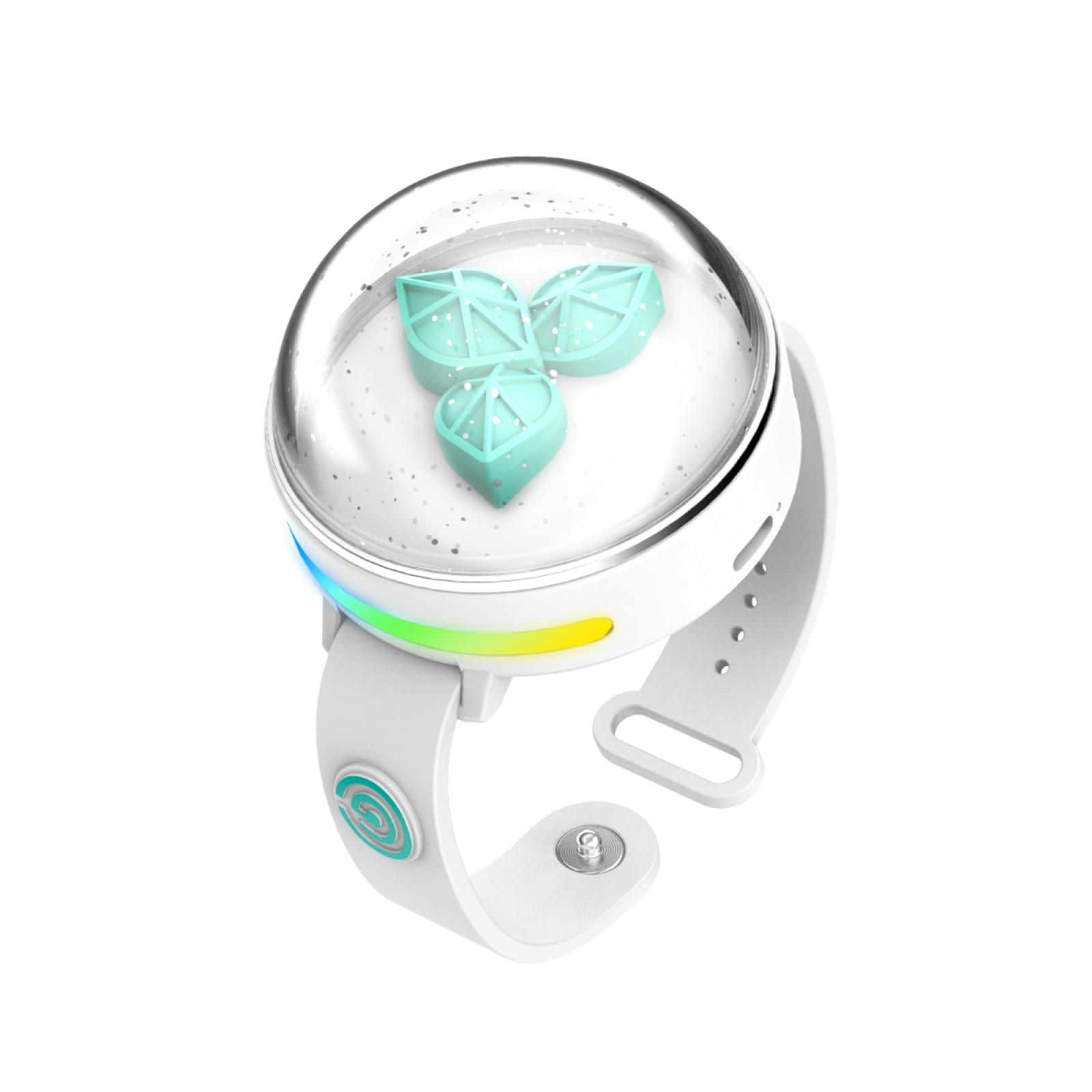 [本日出荷] DAY6 公式応援棒 MADE WATCH ライトバンド ver 3