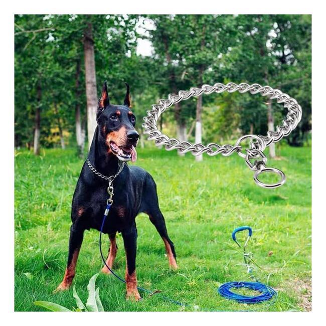 犬用リード チョークチェーン 犬用チェーンリード 散歩 3.0mmx50cm P5454