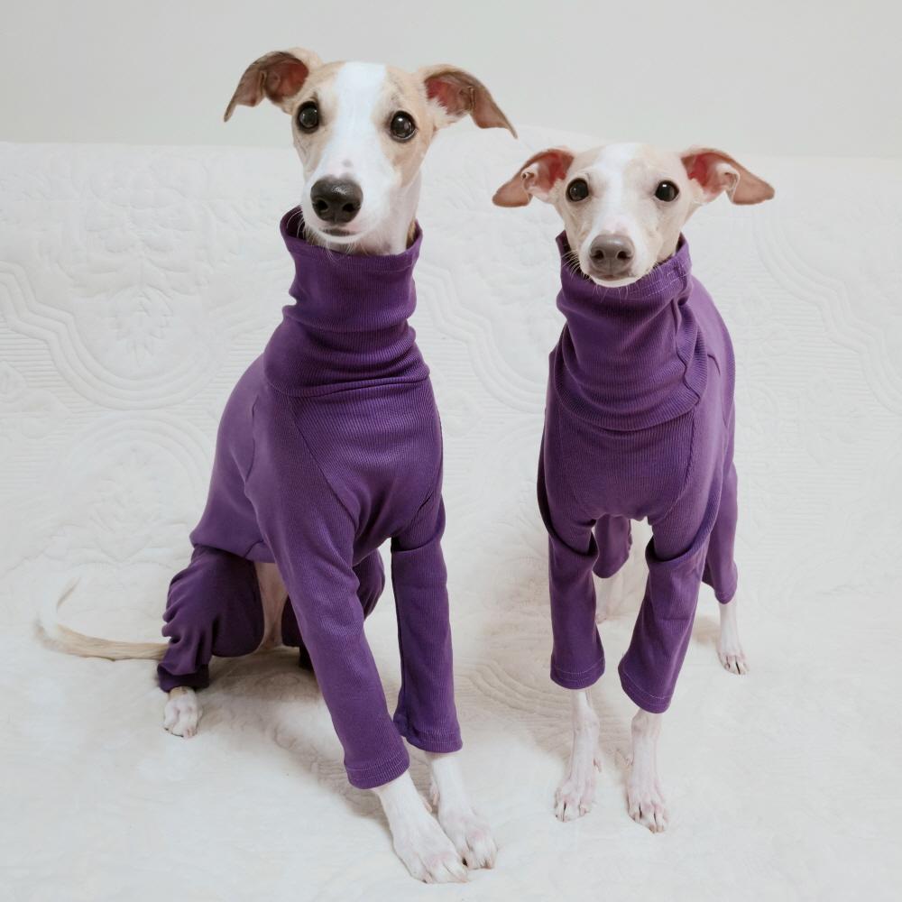 イタリアングレーハウンド服 イタリアングレーハウンド服 四季用リブ オールインワン S