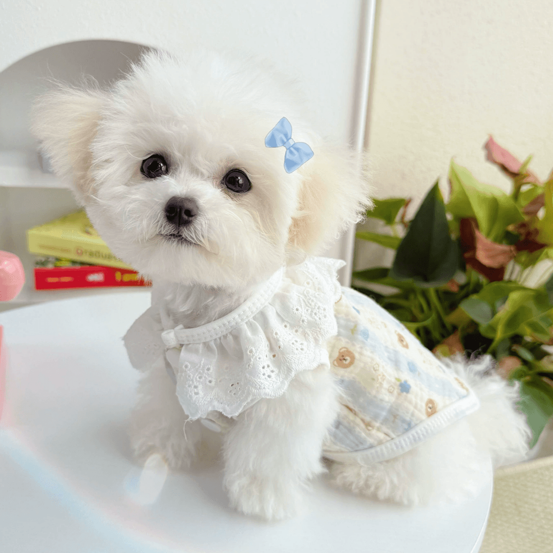 ラブリーレースリボンベスト 犬用室内着 小型犬用春服 犬用タンクトップ ハーネス一体型 XS 2XL