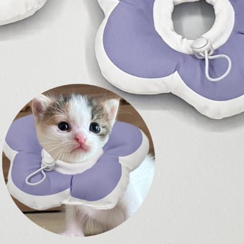 子猫用ネックカラー カラー 猫用首保護クッション S