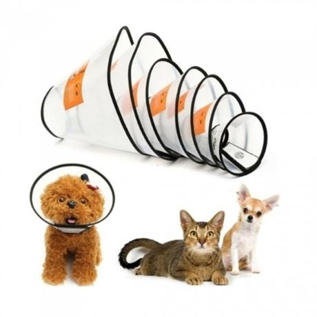 ドッグファーム 犬用透明エリザベスカラー ネックカラー 首保護具 #6