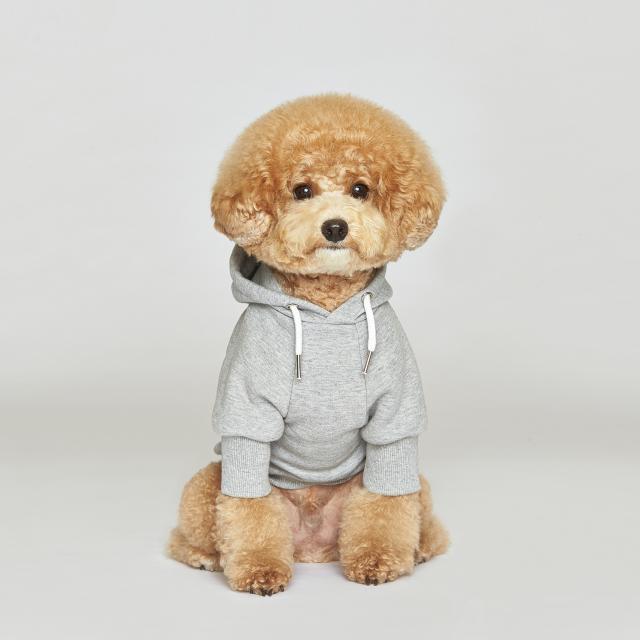 플로트 犬服 スタンダード フードTシャツ グレー 春 秋服