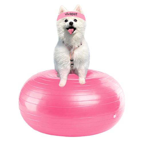 犬用ジムボール コア 膝蓋骨脱臼予防 運動器具 バランスボール