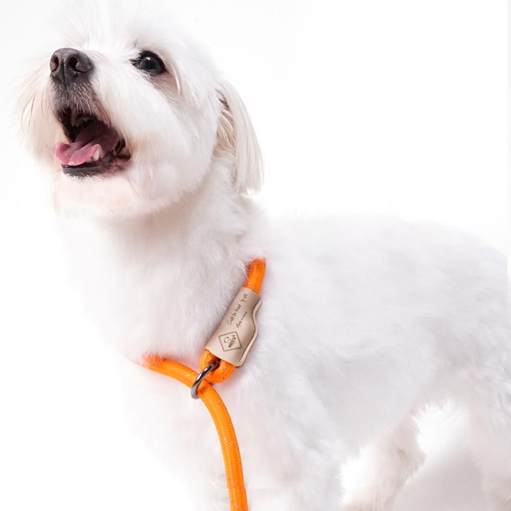 犬用一体型リード 中型犬 大型犬 アッチジギ