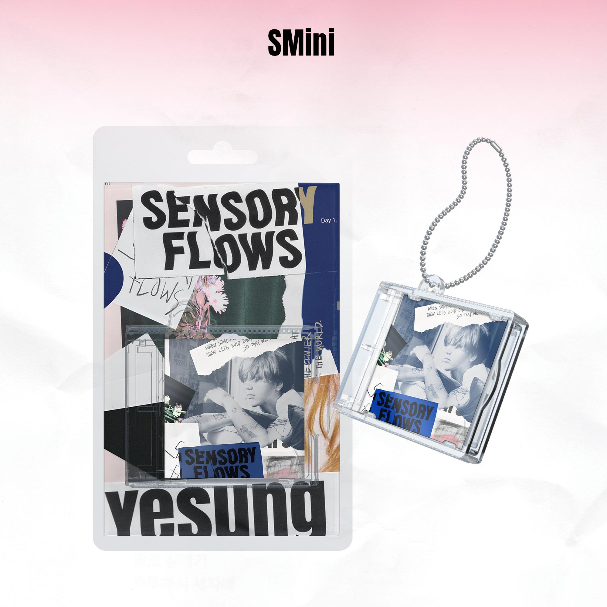 SMエンターテインメント SUPER JUNIOR イェソン 正規 1集 Sensory Flows SMART ALBUM SMini