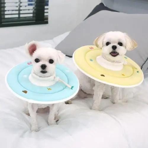 ウィニペットショップ パリスドッグ エスパスポンジネックカラー