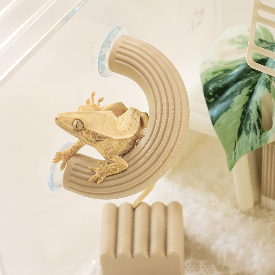 クレステッドゲッコー ルーフ バックアップ トカゲ 隠れ家 飼育ケージ クレ ソ BEIGE