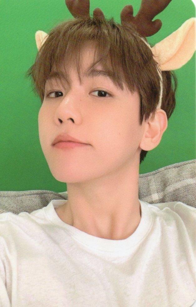 [ベクヒョン1] EXO 엑소 ピンククリスマス フォトカード ポカ