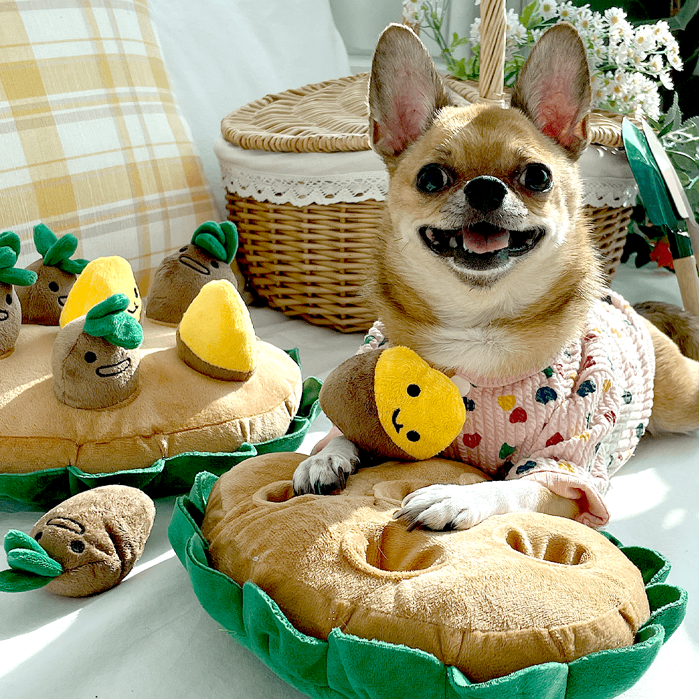 犬用ノーズワークトイ サツマイモ 知育トイ 嗅覚遊び 分離不安 噛む ぬいぐるみ ストレス解消 小型犬 中型犬