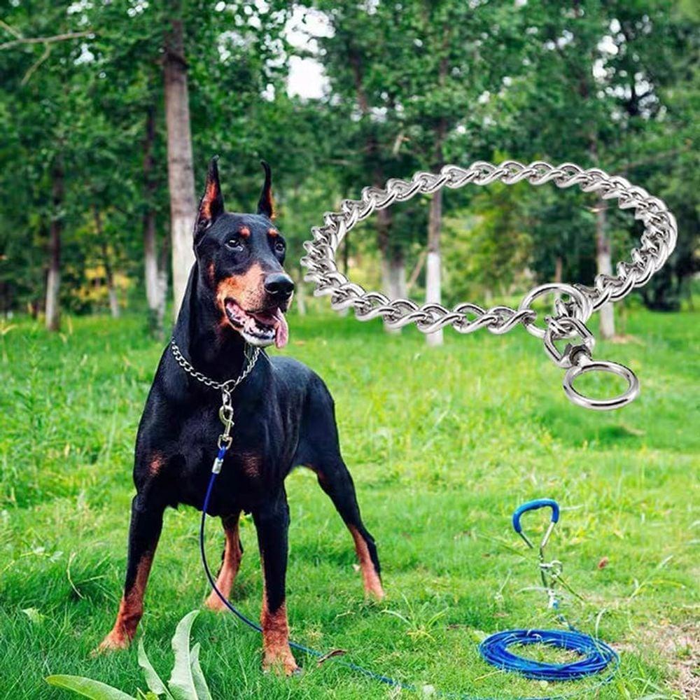 犬用リード チョークチェーン リード 散歩 3.0mm x 50cm