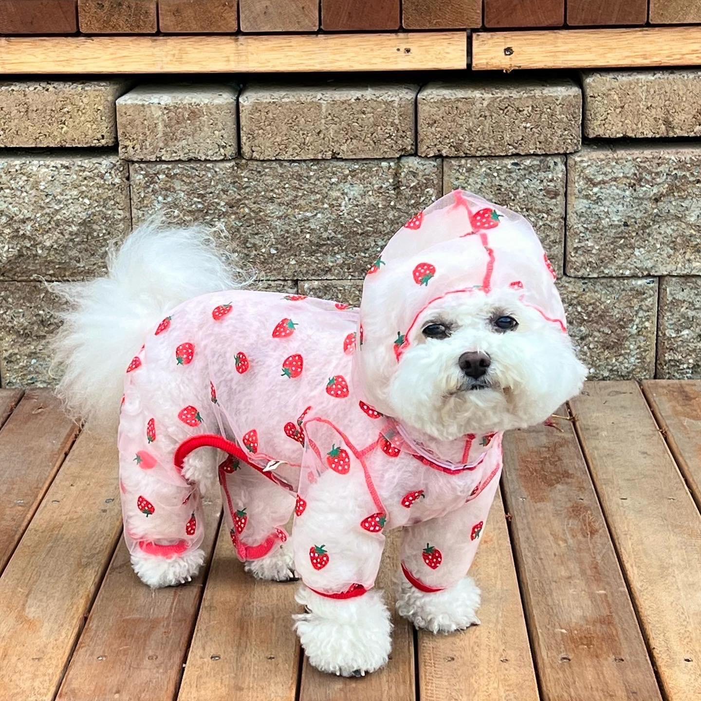 犬用 害虫防止 ペット用 オールインワン メッシュパンツ バグガード ダニ 虫 夏服 いちご S