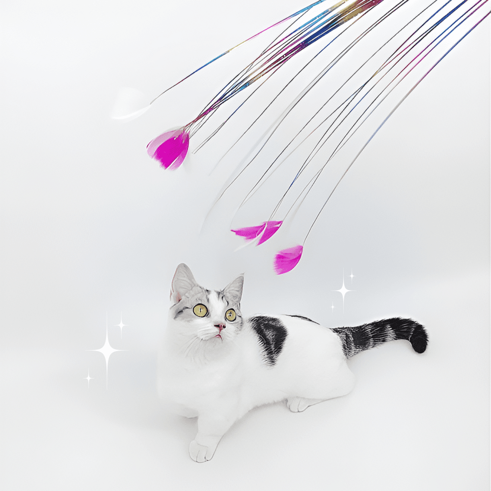 소소네집 고양이 낚시대 장난감 무지개 깃털