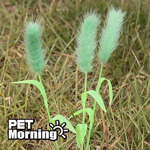 PETMONING 犬用ボール PMC-369