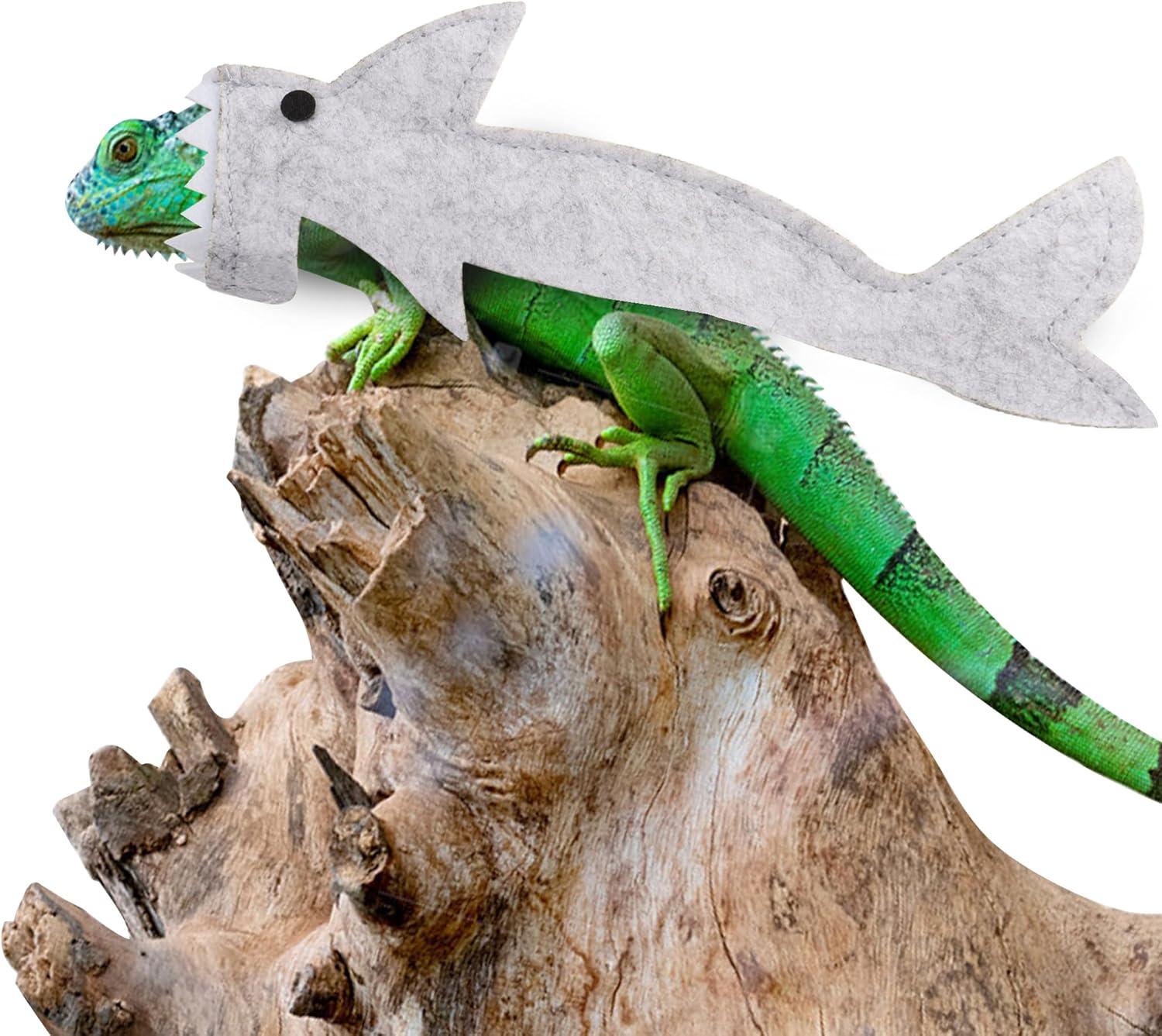 YaoDuoD 髭 ドラゴン トカゲ服 爬虫類 サメ 衣装 ドラゴン バッジ カメレオン 爬虫類用 プレ ハンドメイド (小) Small