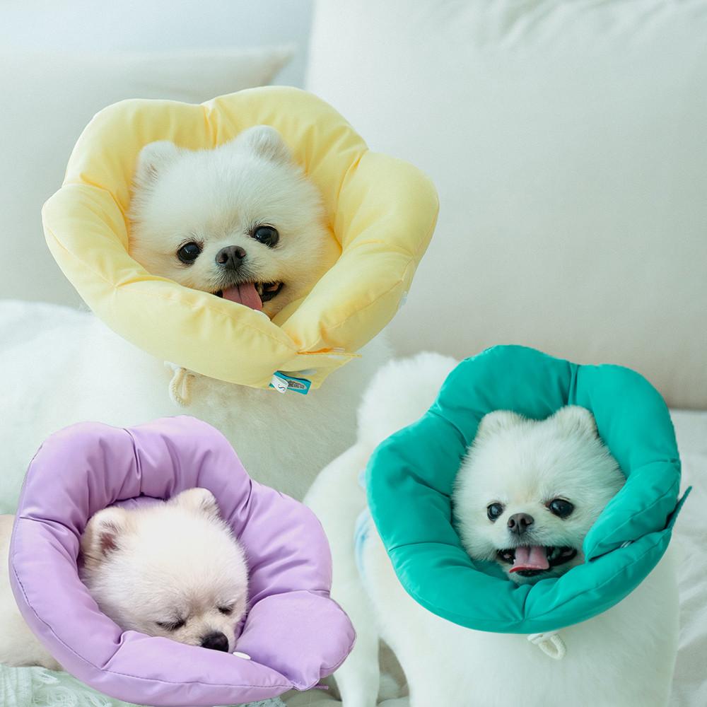 ドッグ＆キャット用 エリザベスカラー クッション 시즌2 프라가S