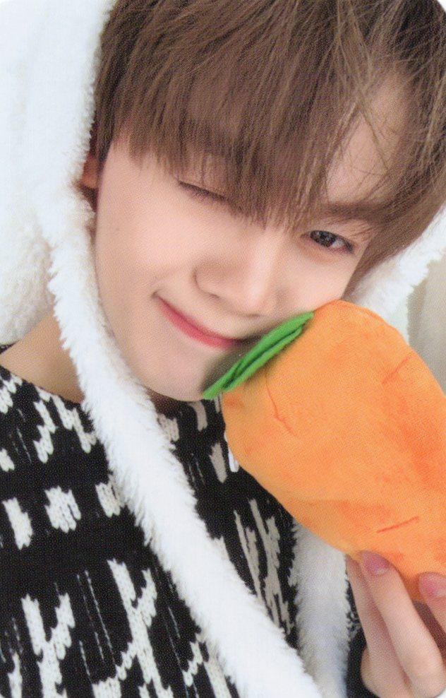 [김규빈/멬스] ZEROBASEONE ZB1 BLUE PARADISE 予約販売 特典 フォトカード ポカ