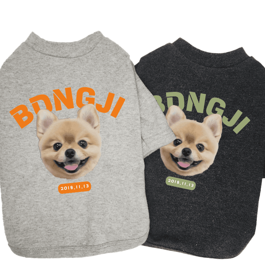 ドッグTシャツ プリント オーダーメイド ドッグウェア ペット服