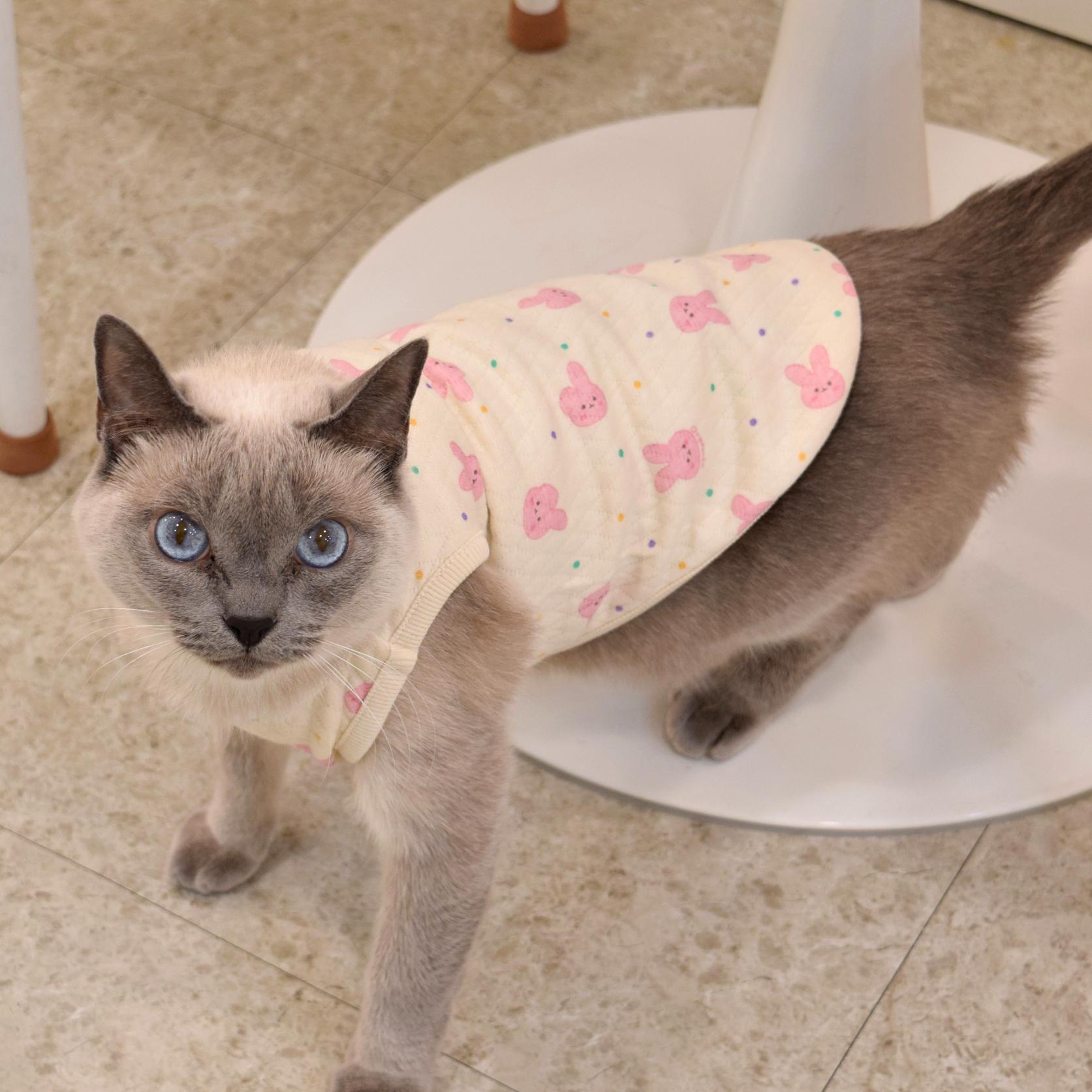 Rabbit オーガニック キルティングTシャツ 猫専用サイズ 服