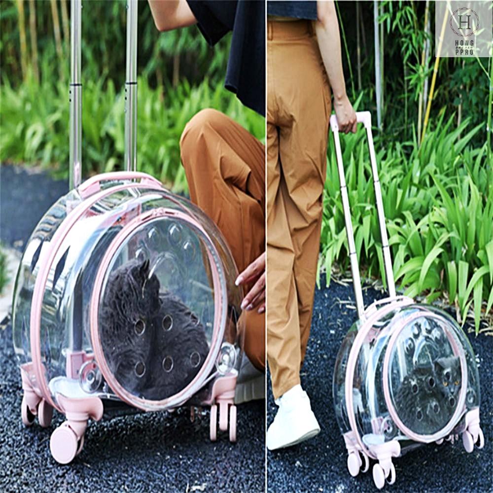 猫病院用 宇宙船 透明バックパック ペットキャリア 移動バッグ ハードケース ペットバックパック